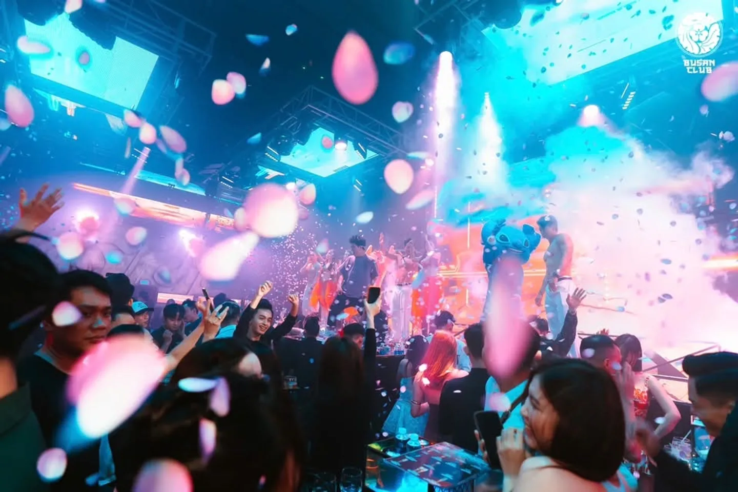 Busan Club Cần Thơ — cánh hoa giấy rơi trước sân khấu